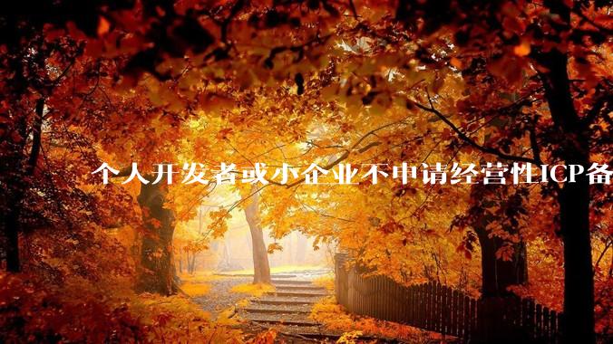 个人开发者或小企业不申请经营性ICP备案，怎样开发APP盈利?