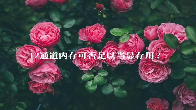 12通道内存可否足以当显存用?