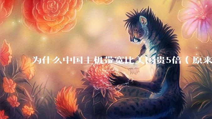 为什么中国主机带宽比美国贵5倍（原来错误的10000倍），比如阿里云？