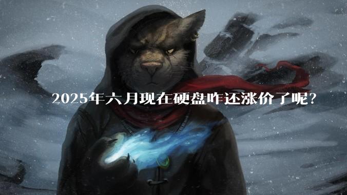 2025年六月现在硬盘咋还涨价了呢？