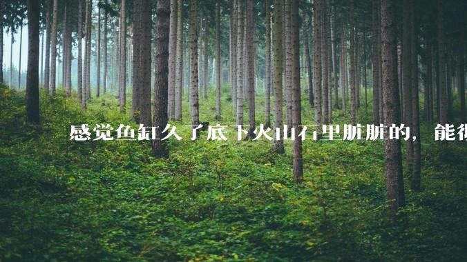 感觉鱼缸久了底下火山石里脏脏的，能彻底换水清理一遍不？