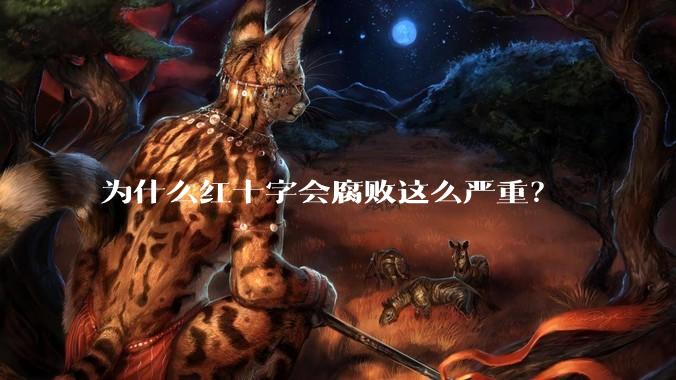 为什么红十字会腐败这么严重？
