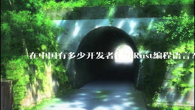 在中国有多少开发者使用Rust编程语言？