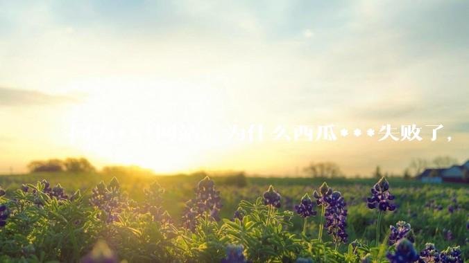 同为***网站，为什么西瓜***失败了，哔哩哔哩成功了?