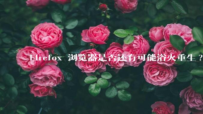 Firefox 浏览器是否还有可能浴火重生?