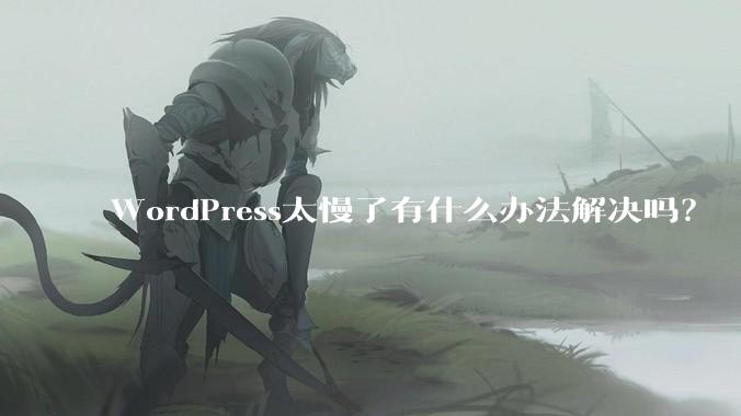 WordPress太慢了有什么办法解决吗？