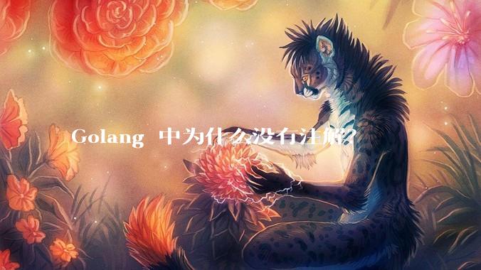 Golang 中为什么没有注解？