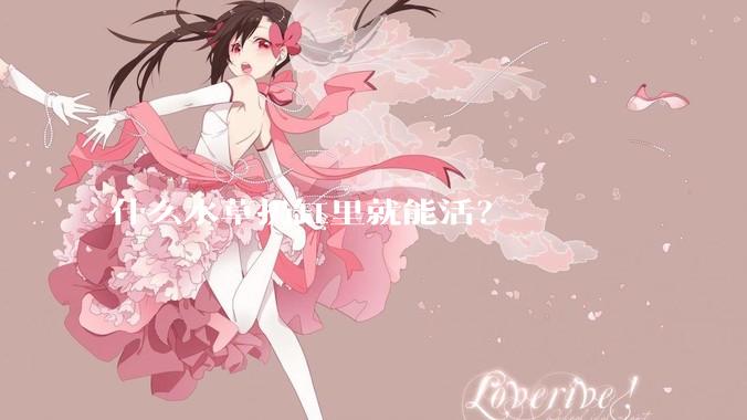 什么水草扔缸里就能活？